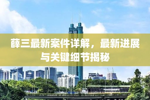 薛三最新案件详解，最新进展与关键细节揭秘
