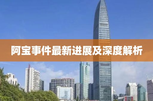 阿宝事件最新进展及深度解析