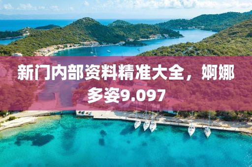 新门内部资料精准大全，婀娜多姿9.097