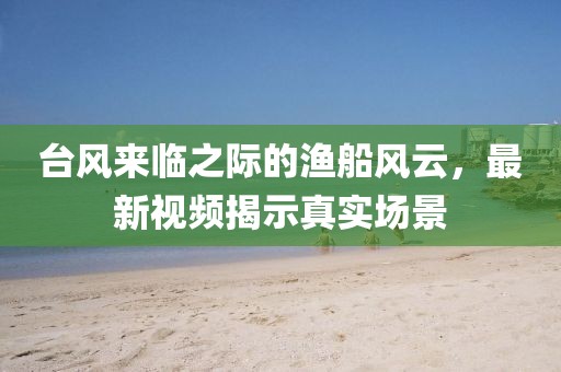 台风来临之际的渔船风云，最新视频揭示真实场景