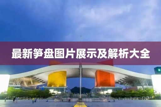 最新笋盘图片展示及解析大全