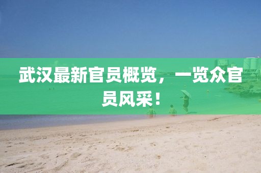 武汉最新官员概览，一览众官员风采！
