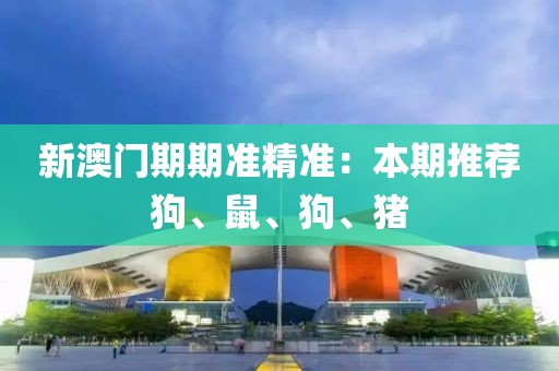 新澳门期期准精准：本期推荐狗、鼠、狗、猪