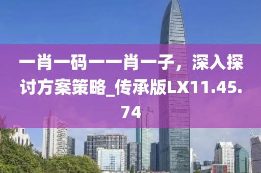 一肖一码一一肖一子，深入探讨方案策略_传承版LX11.45.74