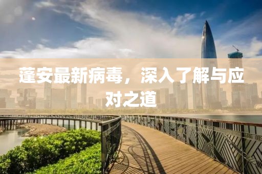 追着太阳跑 第17页