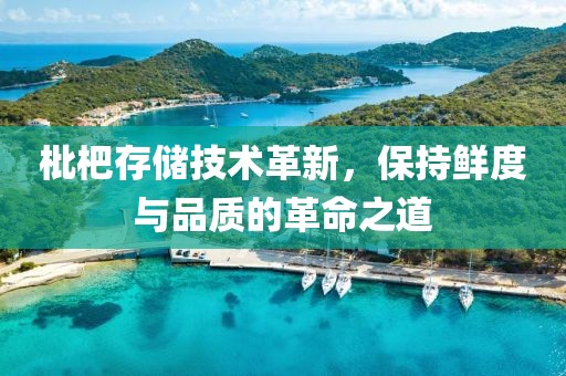 枇杷存储技术革新，保持鲜度与品质的革命之道