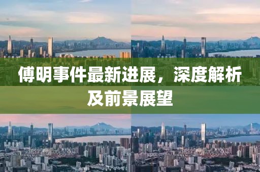 傅明事件最新进展，深度解析及前景展望