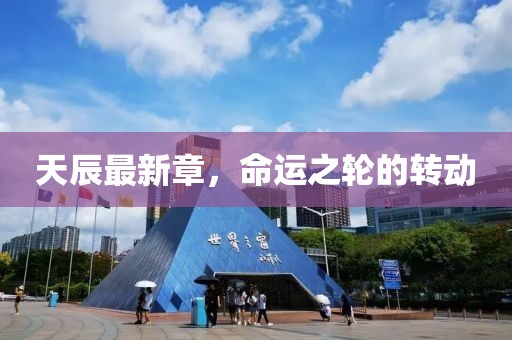 走了一步 第16页