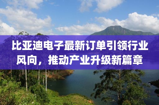 比亚迪电子最新订单引领行业风向，推动产业升级新篇章