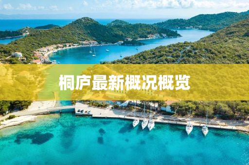桐庐最新概况概览