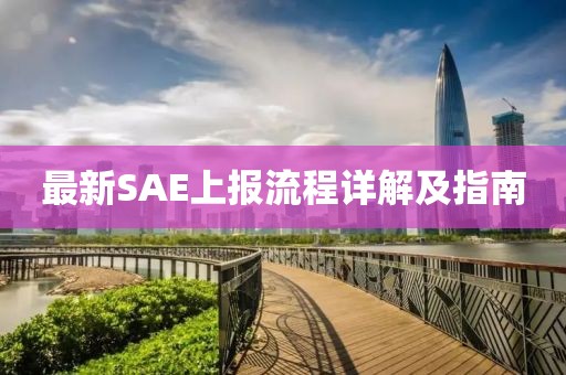 最新SAE上报流程详解及指南