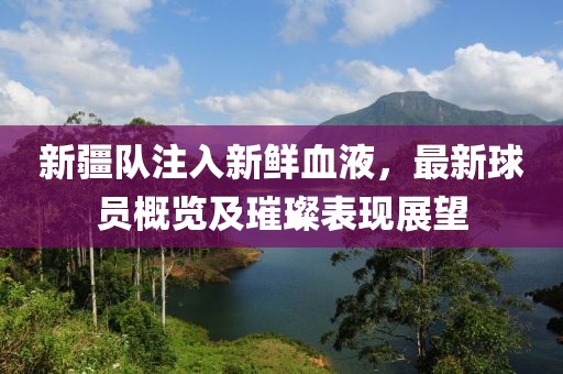 新疆队注入新鲜血液，最新球员概览及璀璨表现展望