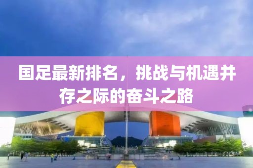 国足最新排名，挑战与机遇并存之际的奋斗之路