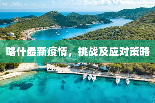 咯什最新疫情，挑战及应对策略