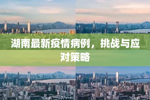 夏至春掩 第28页