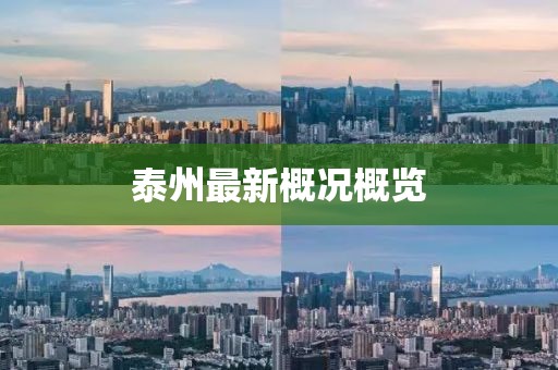 泰州最新概况概览