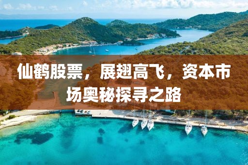 仙鹤股票，展翅高飞，资本市场奥秘探寻之路