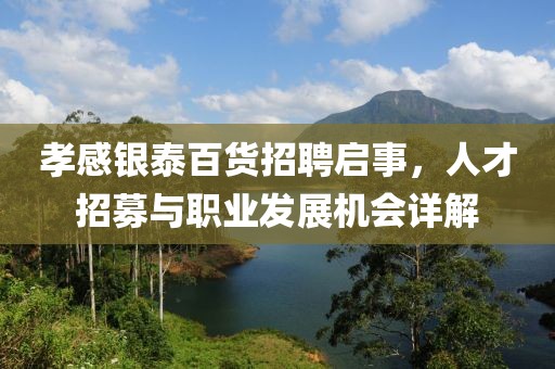孝感银泰百货招聘启事，人才招募与职业发展机会详解