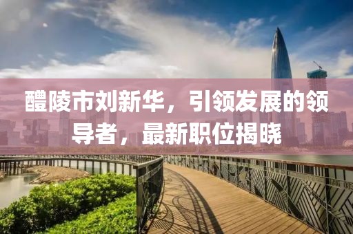 醴陵市刘新华，引领发展的领导者，最新职位揭晓