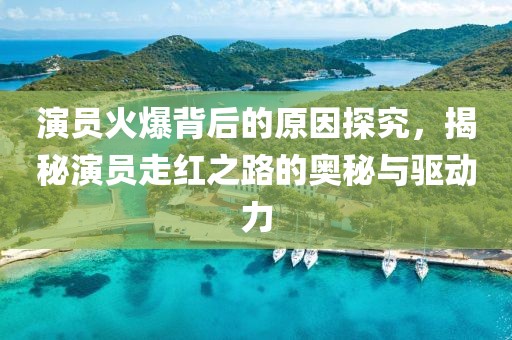 演员火爆背后的原因探究，揭秘演员走红之路的奥秘与驱动力