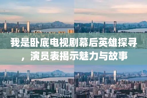 我是卧底电视剧幕后英雄探寻，演员表揭示魅力与故事