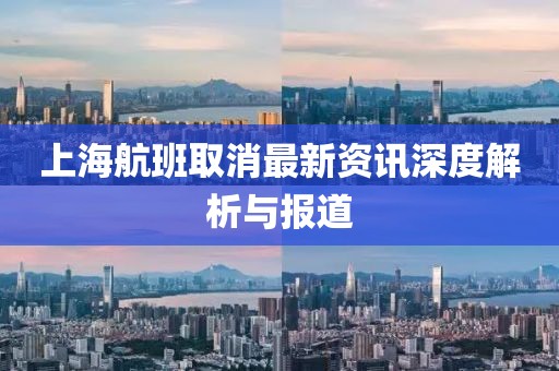 上海航班取消最新资讯深度解析与报道