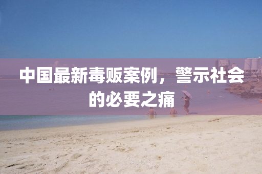 中国最新毒贩案例，警示社会的必要之痛