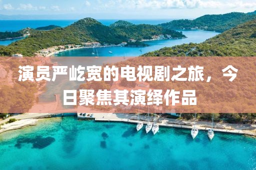 演员严屹宽的电视剧之旅，今日聚焦其演绎作品