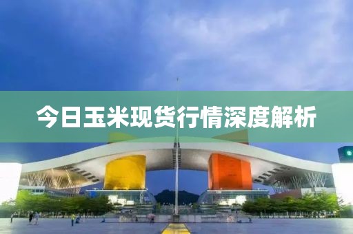 今日玉米现货行情深度解析