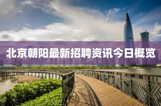 北京朝阳最新招聘资讯今日概览