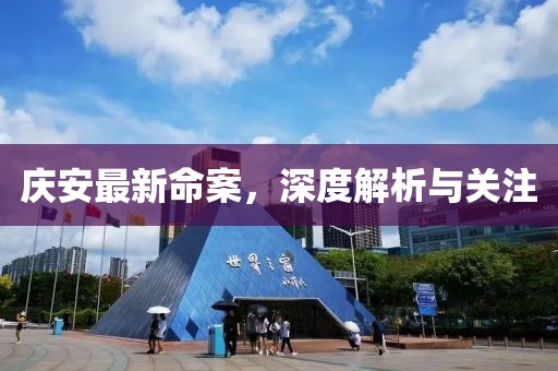 庆安最新命案，深度解析与关注
