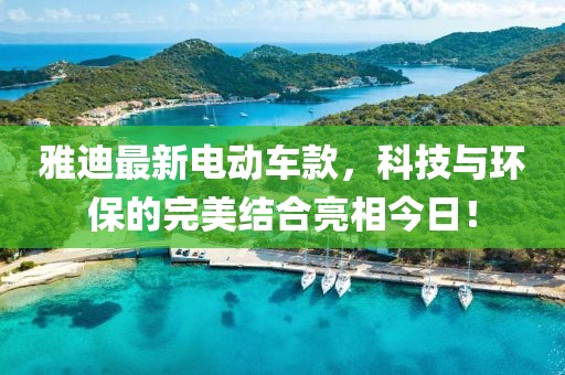 雅迪最新电动车款，科技与环保的完美结合亮相今日！