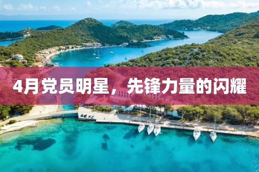 4月党员明星，先锋力量的闪耀