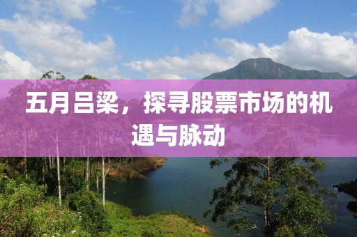 五月吕梁，探寻股票市场的机遇与脉动