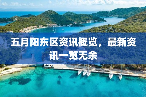 五月阳东区资讯概览，最新资讯一览无余