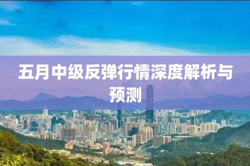 五月中级反弹行情深度解析与预测