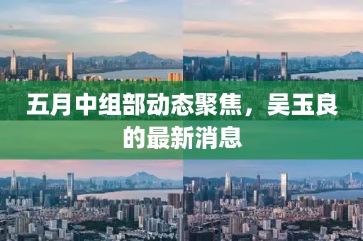 五月中组部动态聚焦，吴玉良的最新消息