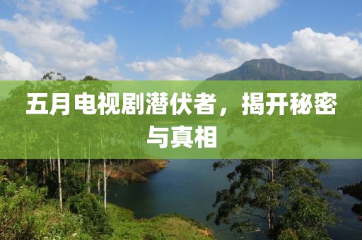 五月电视剧潜伏者，揭开秘密与真相