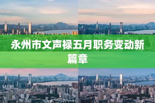 永州市文声禄五月职务变动新篇章