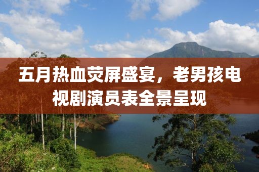 五月热血荧屏盛宴，老男孩电视剧演员表全景呈现