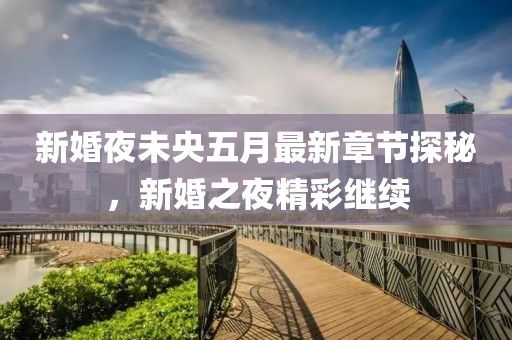新婚夜未央五月最新章节探秘，新婚之夜精彩继续