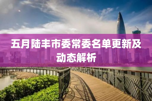 五月陆丰市委常委名单更新及动态解析