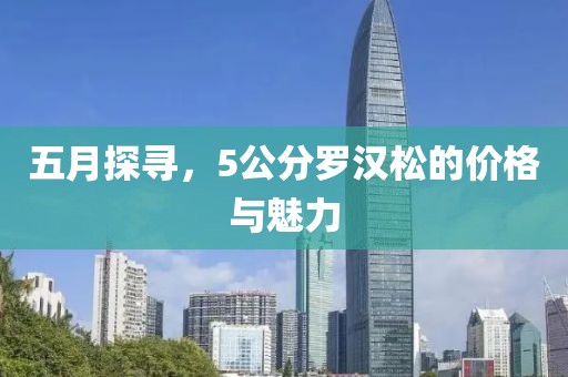 五月探寻，5公分罗汉松的价格与魅力