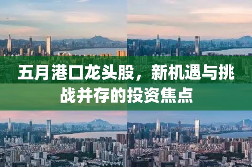 五月港口龙头股，新机遇与挑战并存的投资焦点