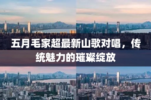 五月毛家超最新山歌对唱，传统魅力的璀璨绽放