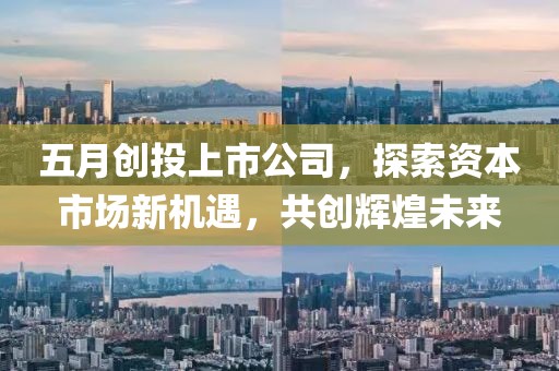 五月创投上市公司，探索资本市场新机遇，共创辉煌未来