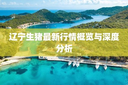 干净无过往 第28页