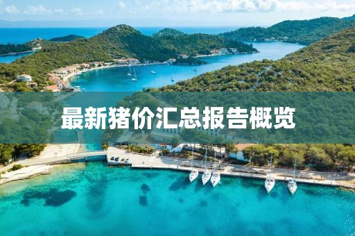 最新猪价汇总报告概览