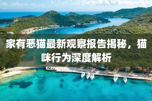 第2924页
