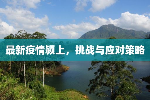 最新疫情颍上，挑战与应对策略